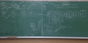 Students' blackboard sketch of Durkheim's theory of social evolution.